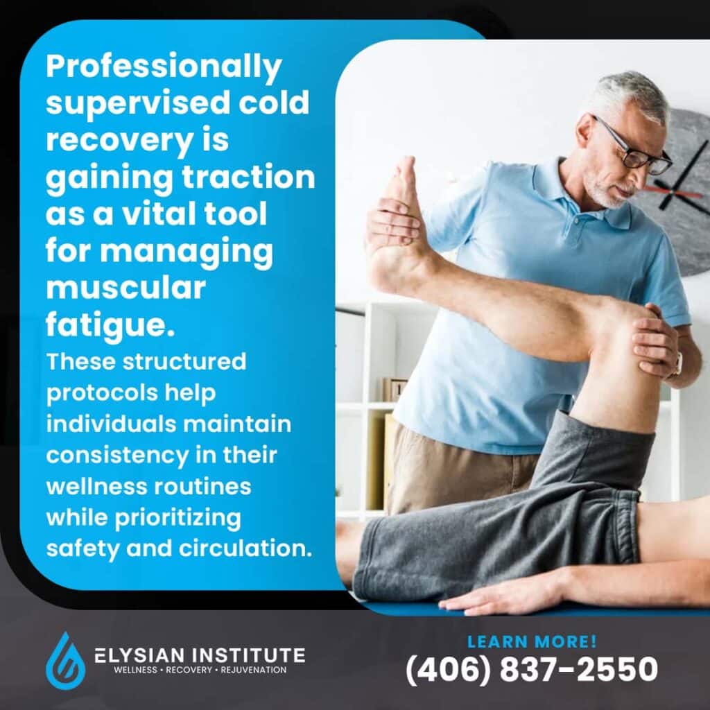 Promotional graphic from Elysian Institute explaining that professionally supervised cold recovery is a vital tool for managing muscular fatigue. The text notes that these structured protocols help individuals maintain consistency in wellness routines while prioritizing safety and circulation. The visual displays a male practitioner in a light blue shirt guiding a patient through a physical therapy leg stretch. Includes a call to action to call (406) 837-2550.