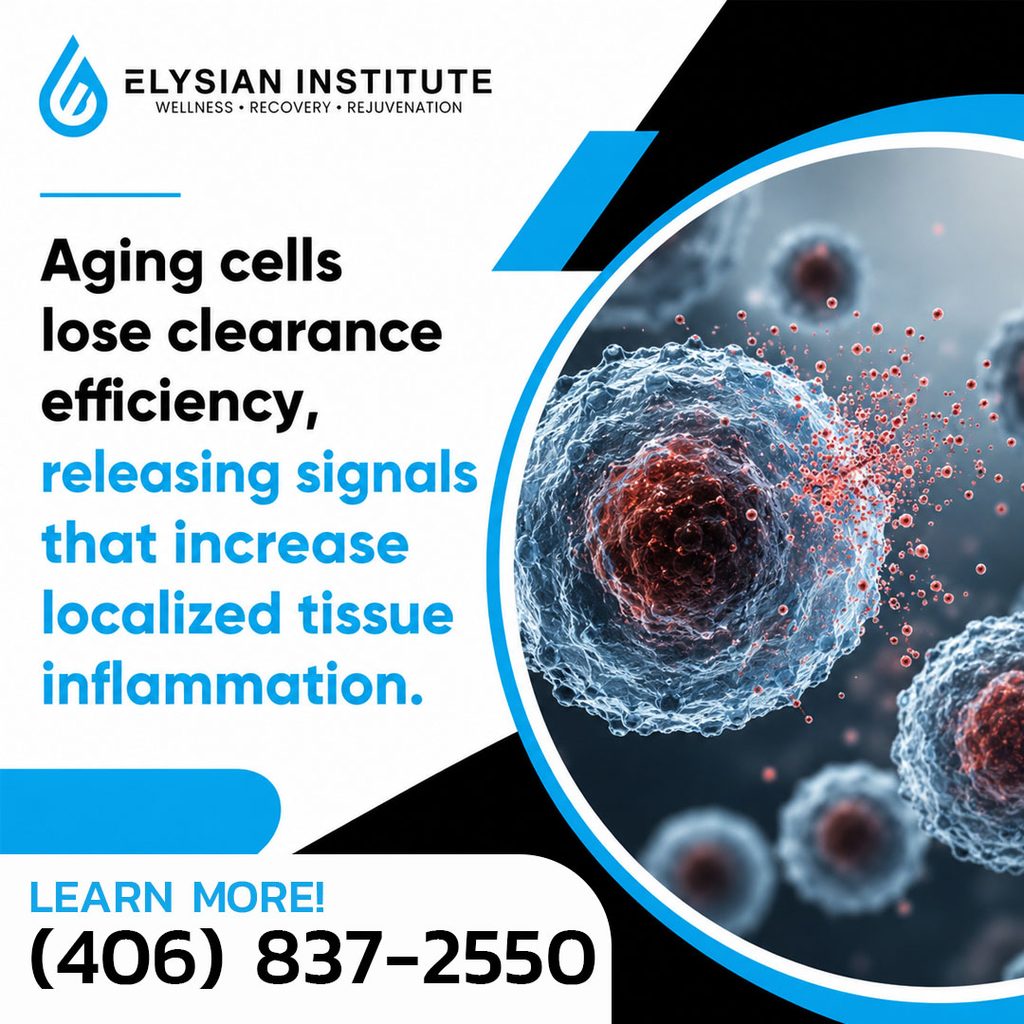Microscopic view of aging cells releasing signals that increase localized tissue inflammation, branded for Elysian Institute Wellness, Recovery, and Rejuvenation.