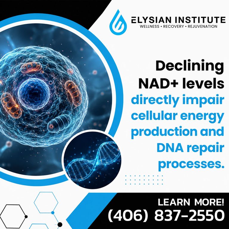 Microscopic illustration of a biological cell and glowing DNA strand with text explaining that declining NAD+ levels directly impair cellular energy production and DNA repair processes, branded for Elysian Institute.