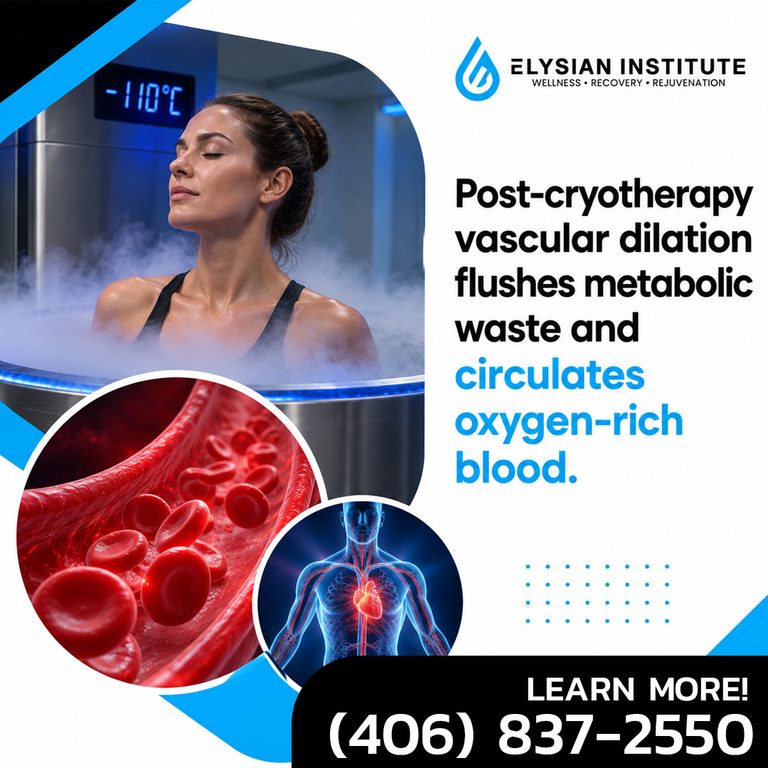 A woman inside a cryotherapy chamber with inset graphics showing red blood cells and human vascular circulation, accompanied by text explaining that post-cryotherapy vascular dilation flushes metabolic waste and circulates oxygen-rich blood, branded for Elysian Institute.